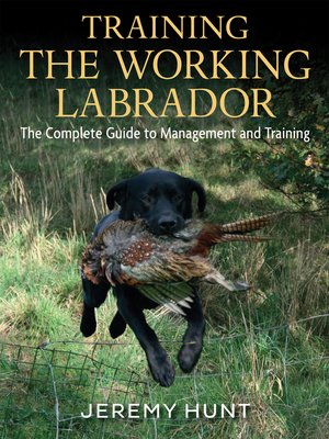 cover image of Training the Working Labrador